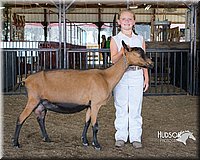 LCFAIR15-1002.jpg
