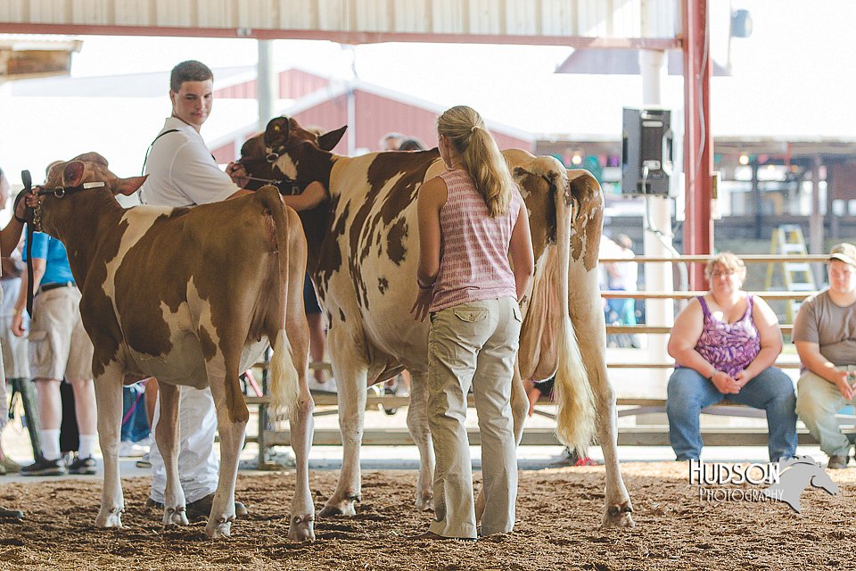 LCFAIR15-0441.jpg