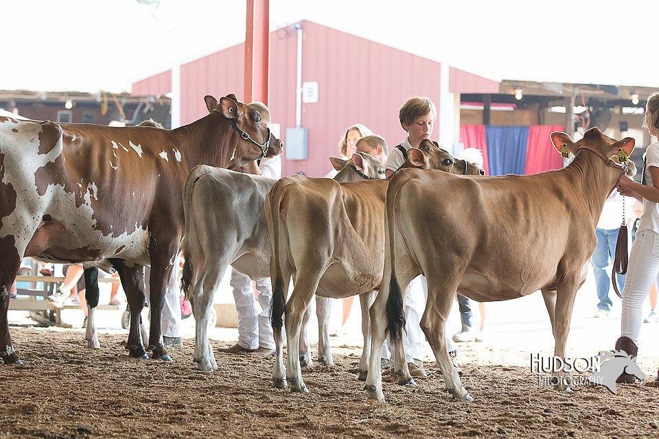 LCFAIR15-0514.jpg