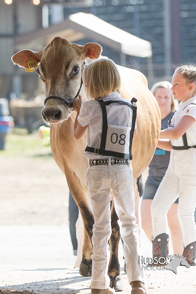LCFAIR15-0523.jpg