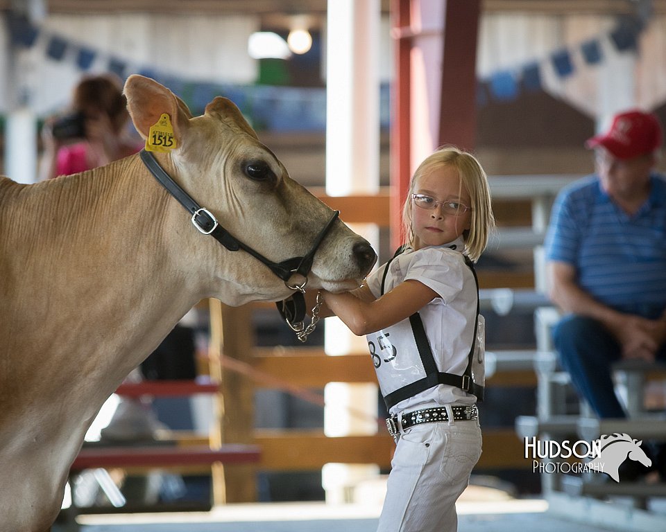 LCFAIR15-0544.jpg
