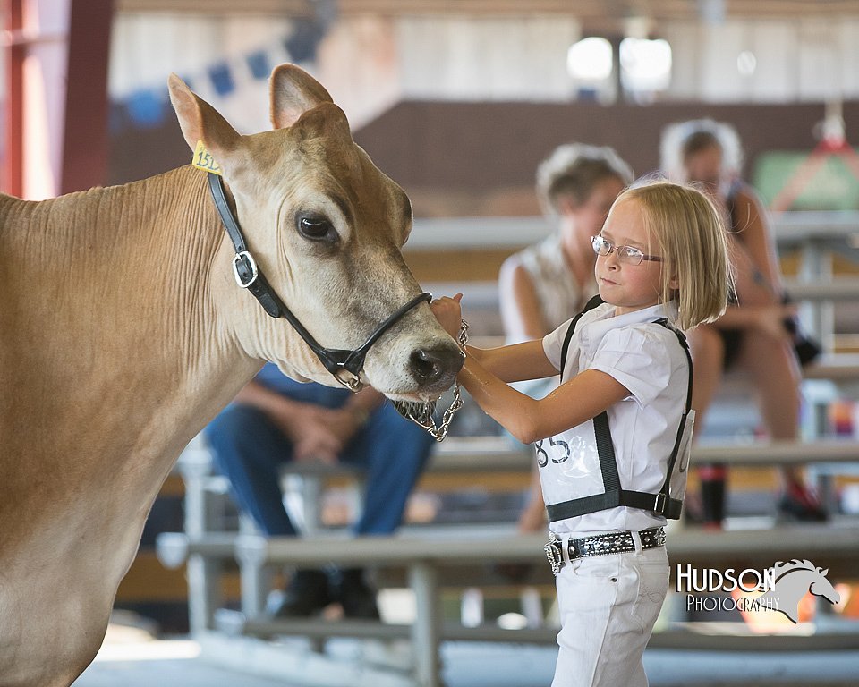 LCFAIR15-0545.jpg