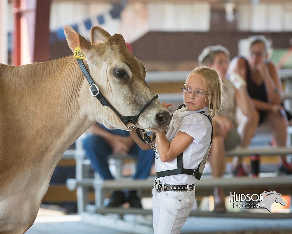 LCFAIR15-0546.jpg