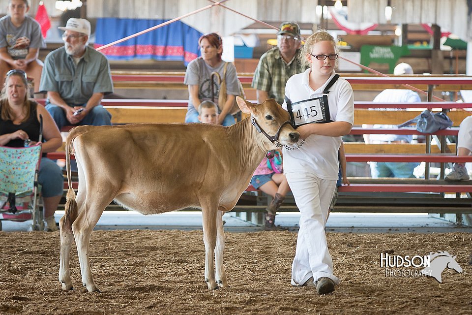 LCFAIR15-0547.jpg