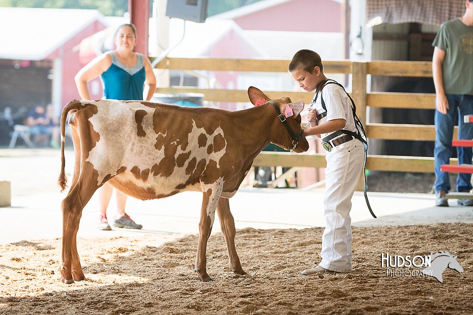 LCFAIR15-0548.jpg