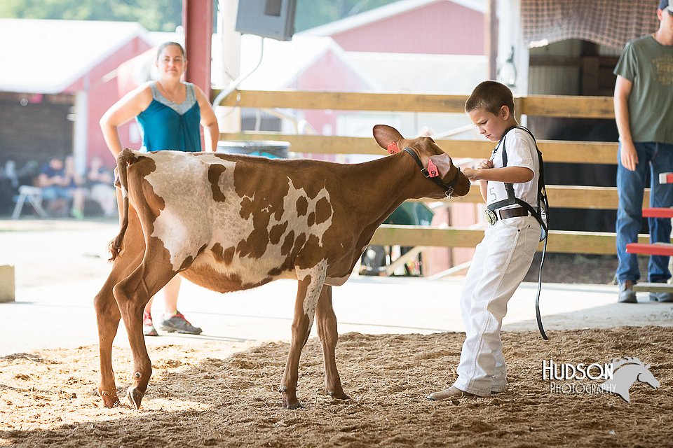 LCFAIR15-0549.jpg