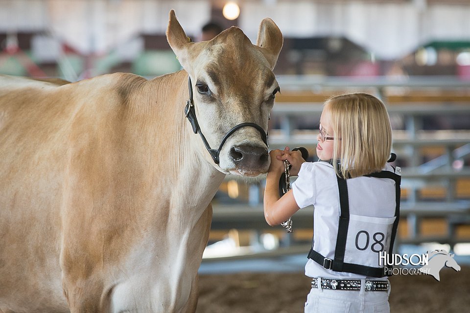LCFAIR15-0550.jpg