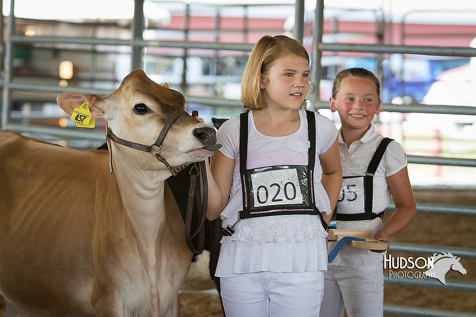 LCFAIR15-0556.jpg