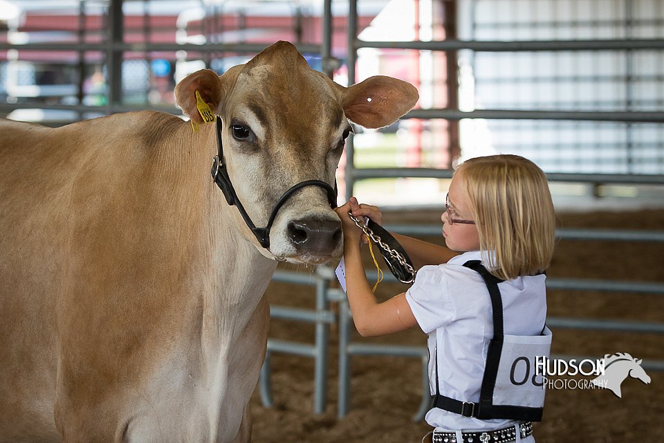 LCFAIR15-0557.jpg