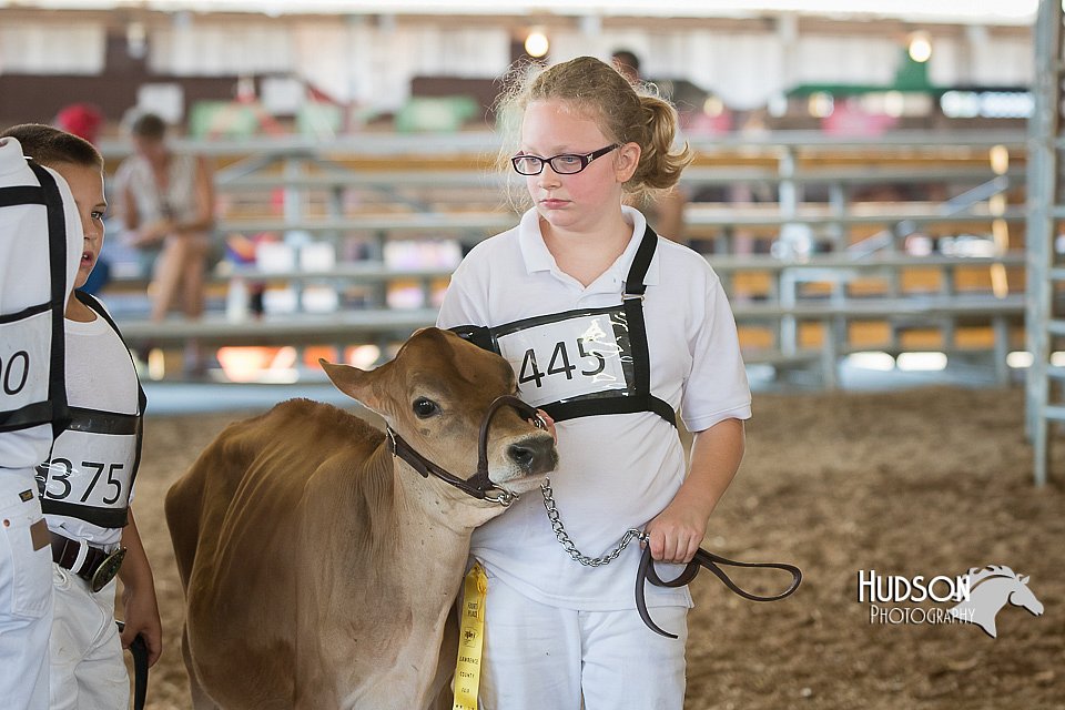 LCFAIR15-0558.jpg