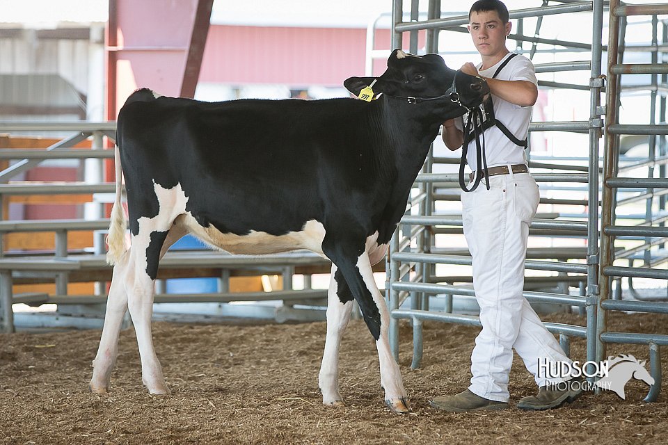 LCFAIR15-0574.jpg