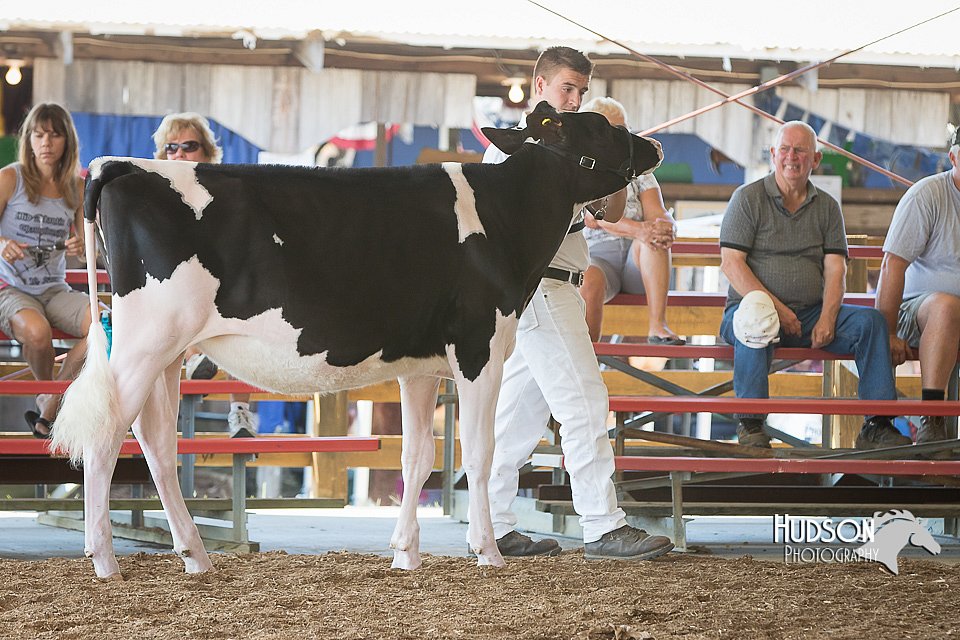 LCFAIR15-0575.jpg