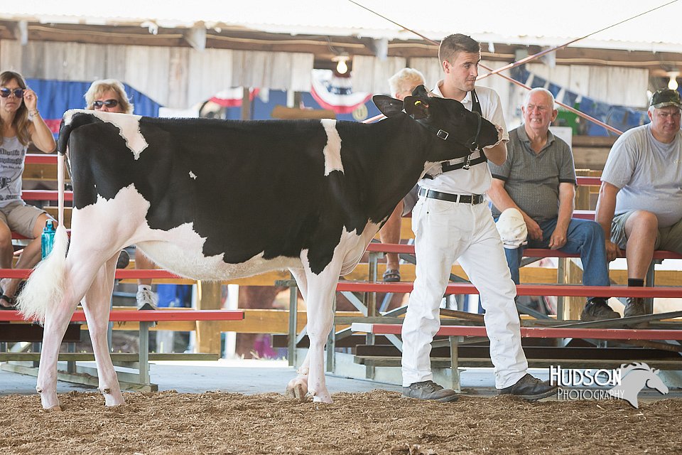 LCFAIR15-0576.jpg