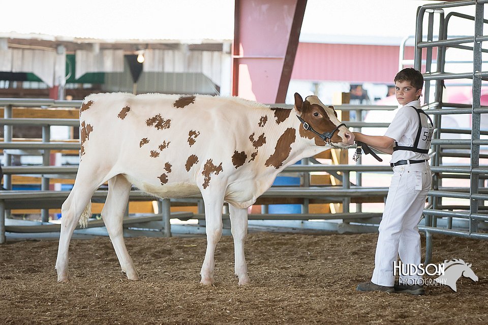 LCFAIR15-0582.jpg