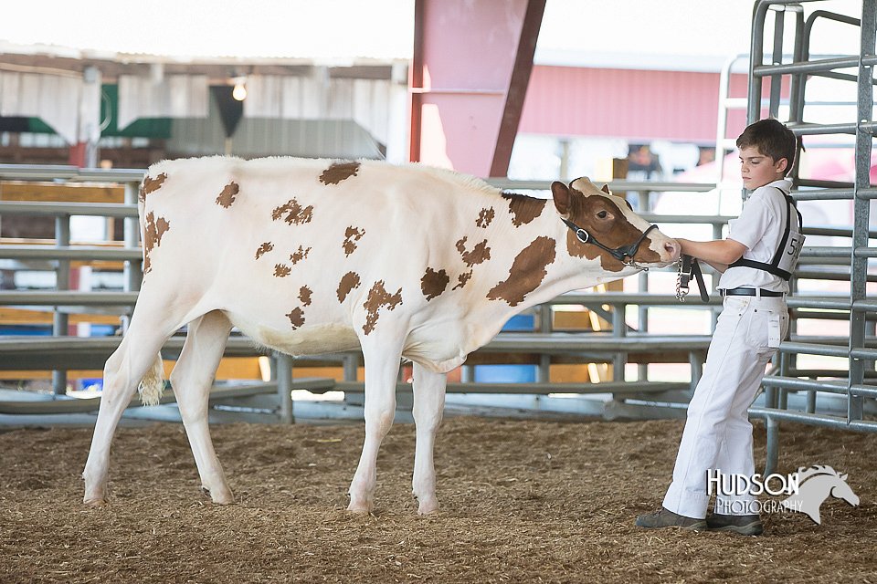 LCFAIR15-0583.jpg