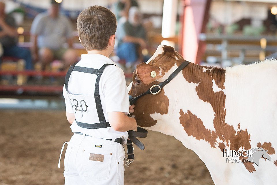 LCFAIR15-0586.jpg