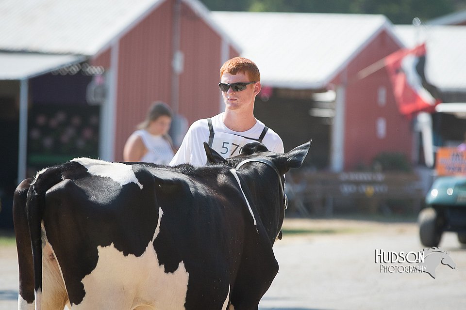 LCFAIR15-0601.jpg