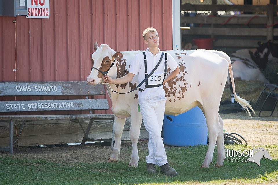LCFAIR15-0605.jpg