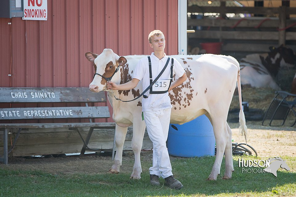 LCFAIR15-0606.jpg