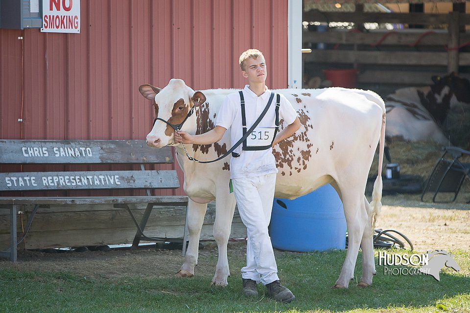 LCFAIR15-0607.jpg