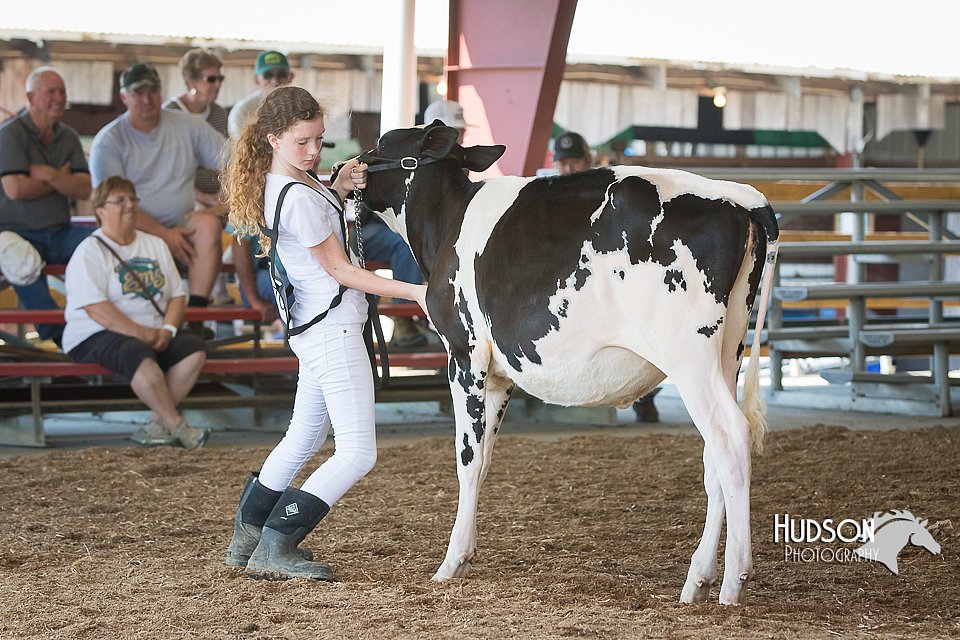 LCFAIR15-0622.jpg