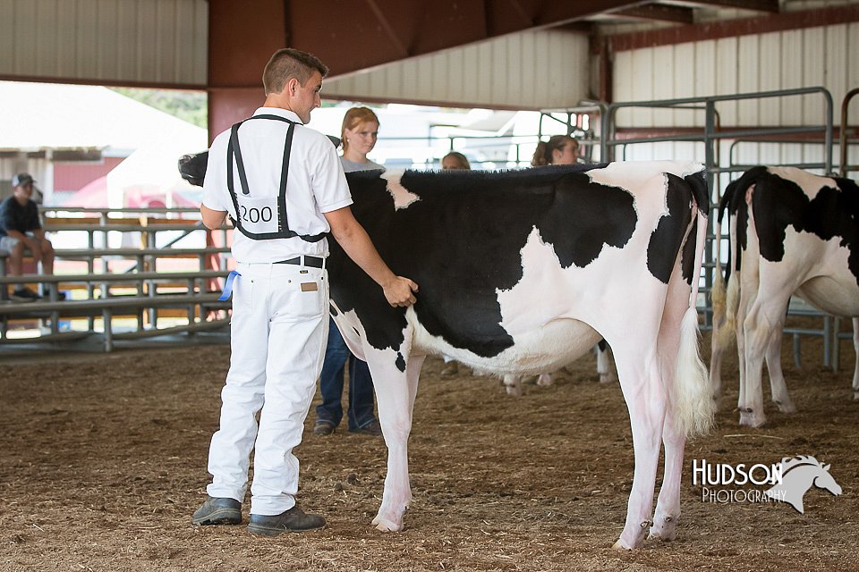 LCFAIR15-0624.jpg