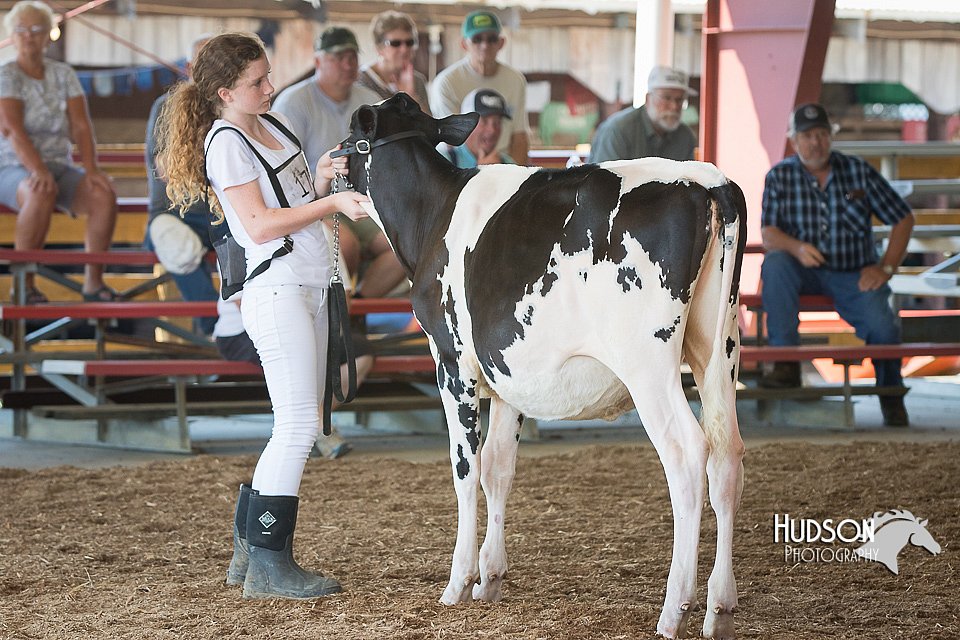 LCFAIR15-0627.jpg