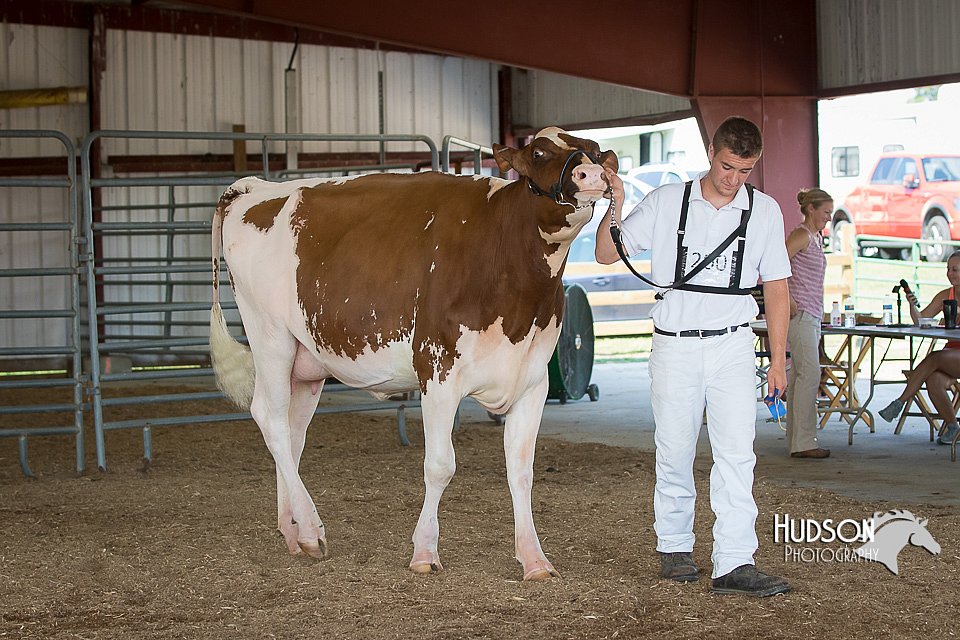 LCFAIR15-0642.jpg