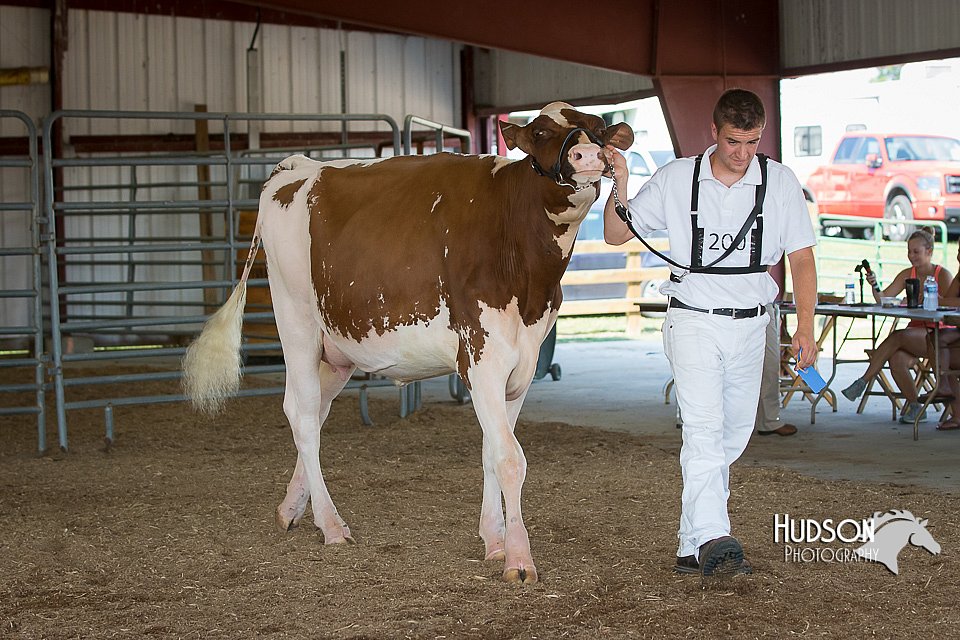 LCFAIR15-0643.jpg