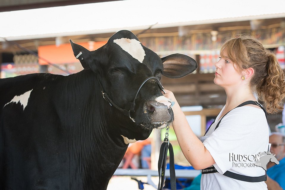 LCFAIR15-0661.jpg