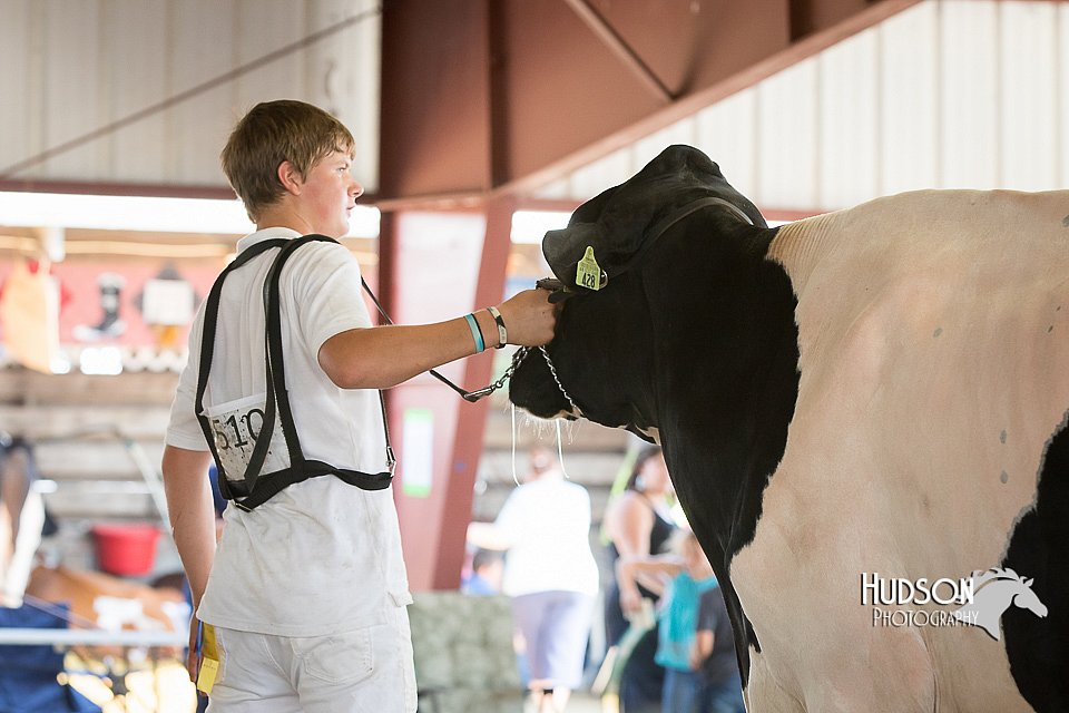 LCFAIR15-0677.jpg