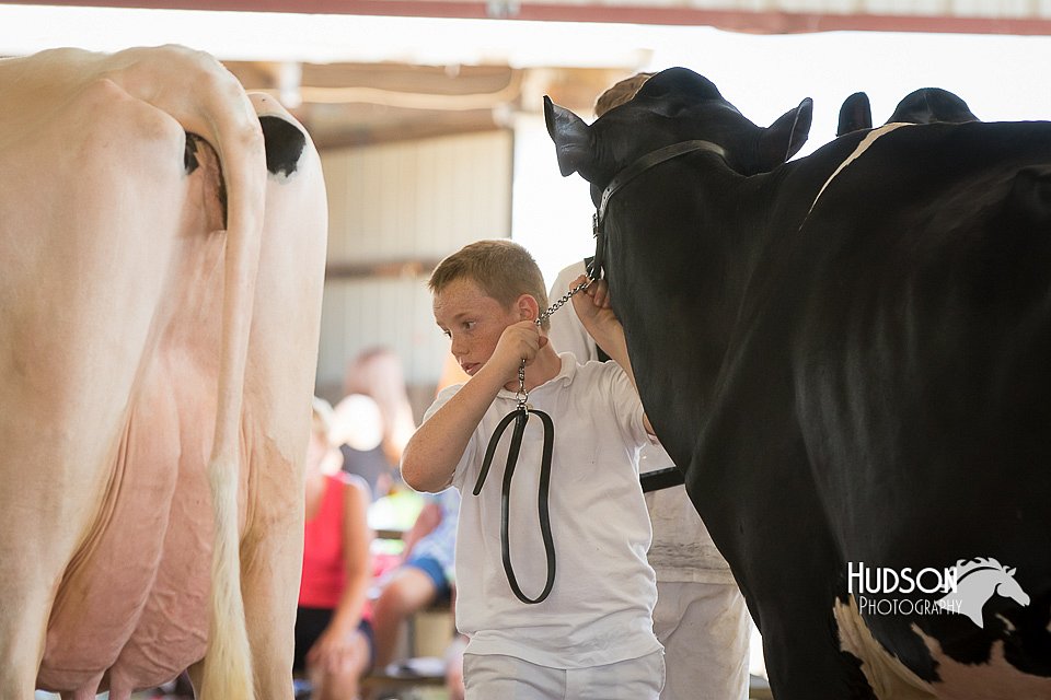 LCFAIR15-0686.jpg