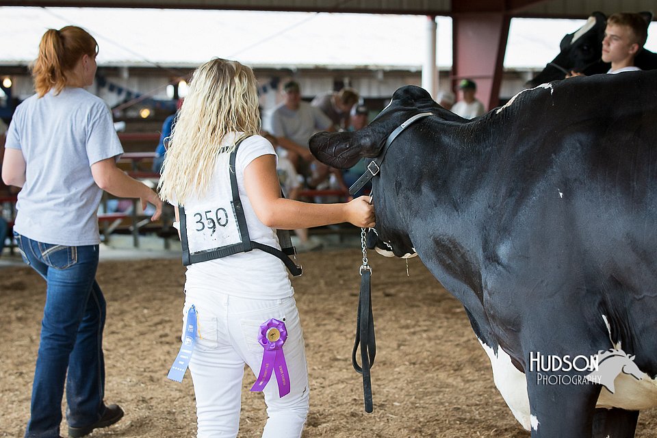 LCFAIR15-0696.jpg