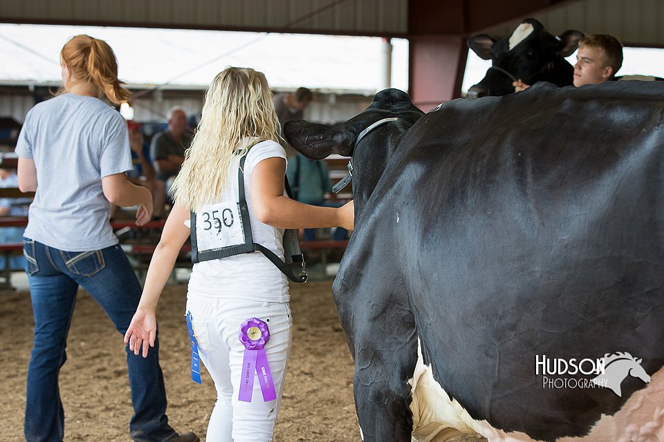 LCFAIR15-0698.jpg