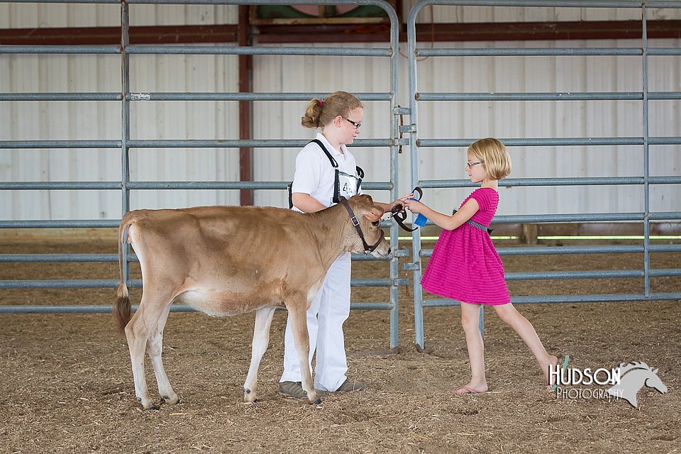 LCFAIR15-0712.jpg