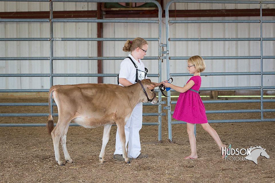 LCFAIR15-0713.jpg