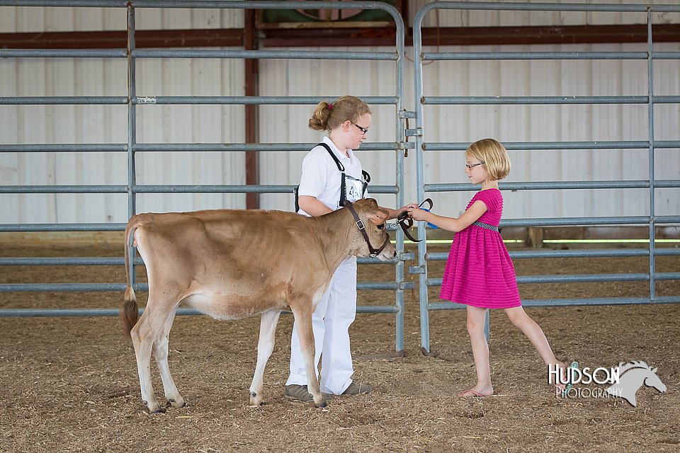 LCFAIR15-0714.jpg