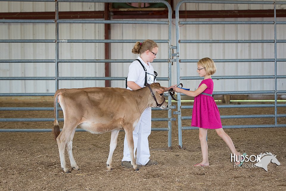 LCFAIR15-0715.jpg