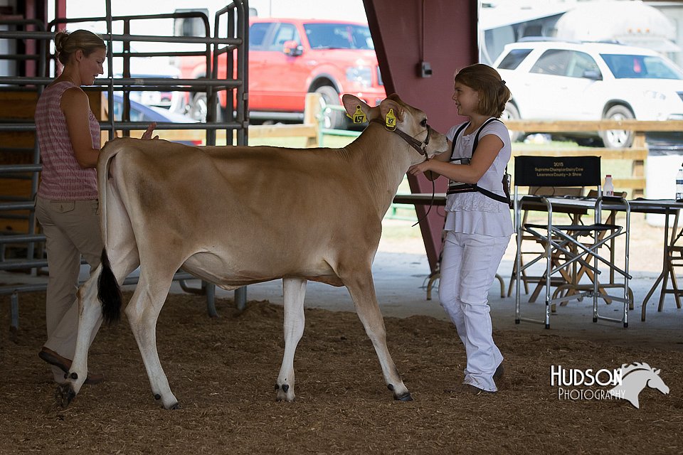 LCFAIR15-0716.jpg