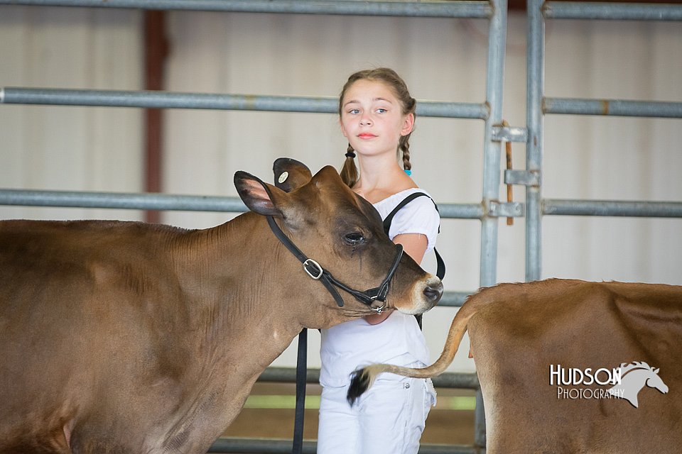 LCFAIR15-0726.jpg