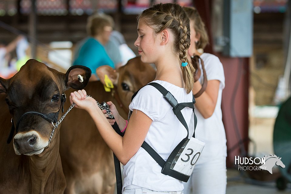 LCFAIR15-0728.jpg