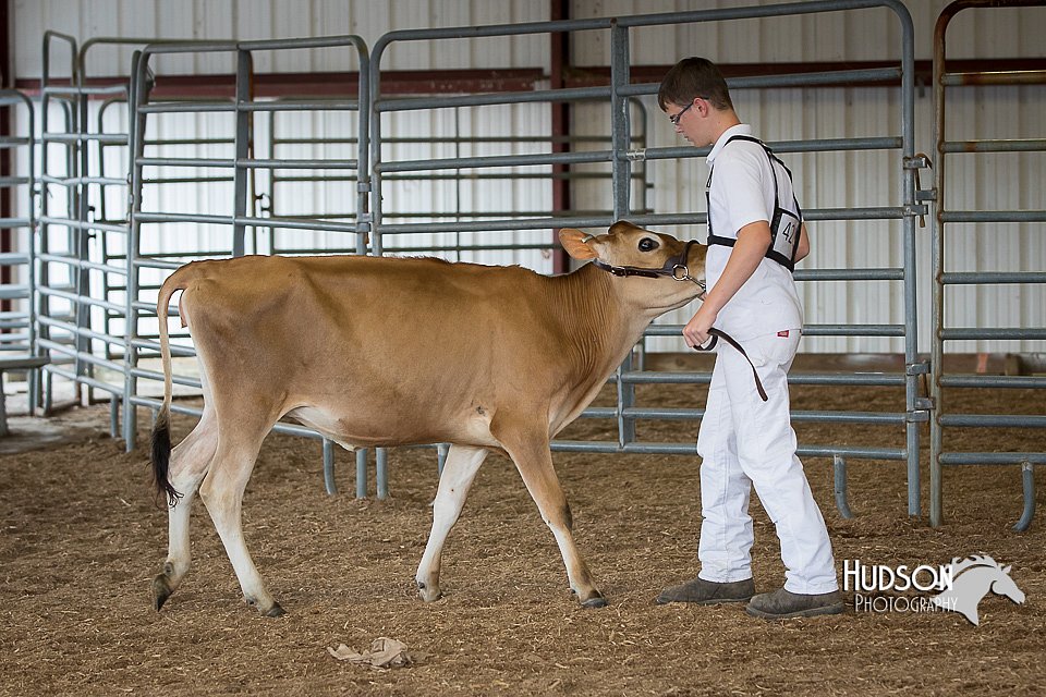 LCFAIR15-0735.jpg