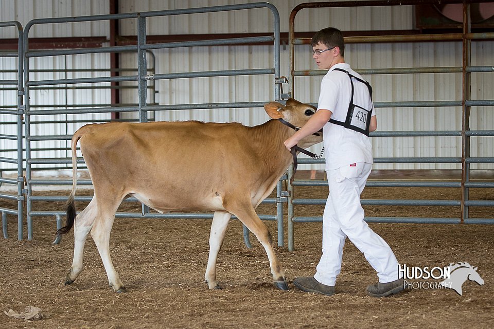 LCFAIR15-0736.jpg