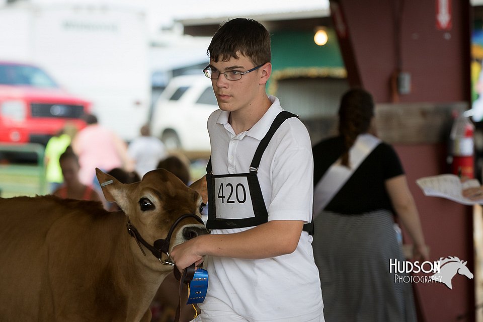 LCFAIR15-0738.jpg