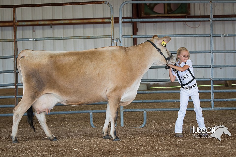 LCFAIR15-0752.jpg