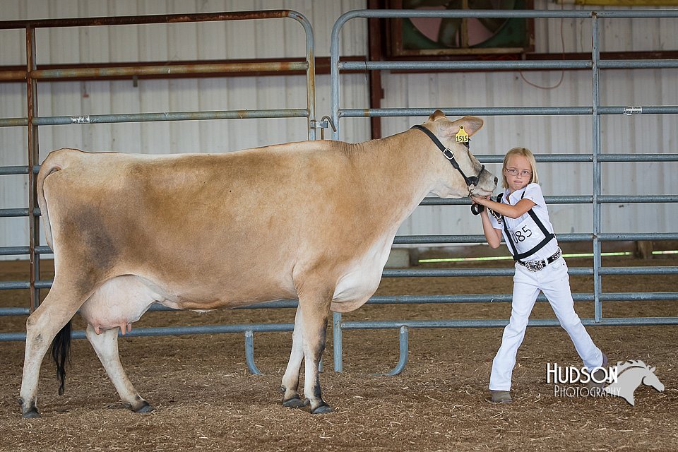 LCFAIR15-0753.jpg