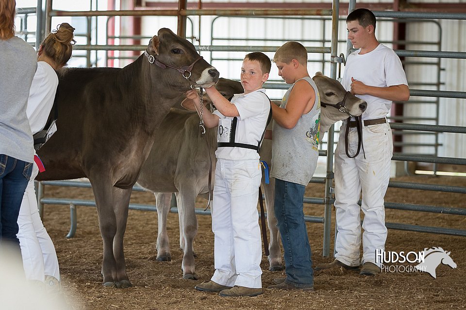 LCFAIR15-0860.jpg