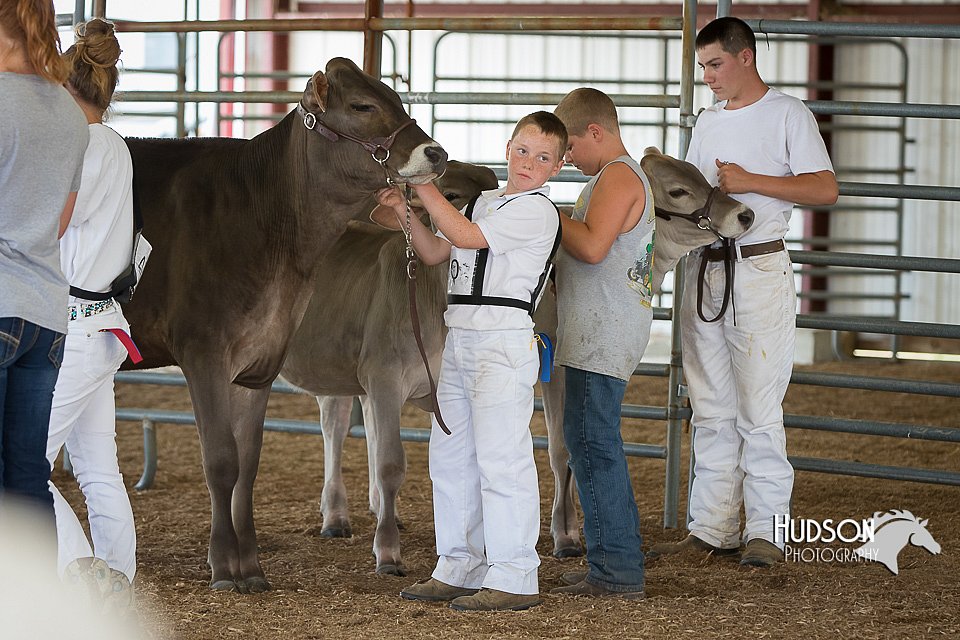 LCFAIR15-0861.jpg