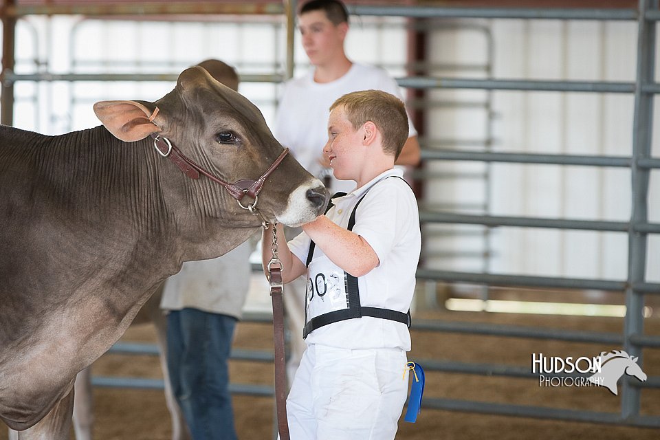 LCFAIR15-0862.jpg