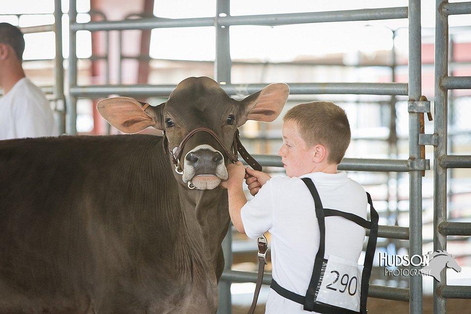 LCFAIR15-0863.jpg
